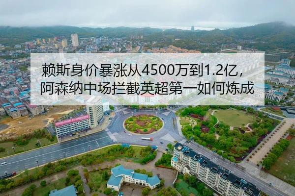 lai-si-shen-jia-bao-zhang-cong-wan-dao-yi-a-sen-na-zhong-chang-lan-jie-ying-chao-di-yi-ru-he-lian-cheng-2-400.jpg