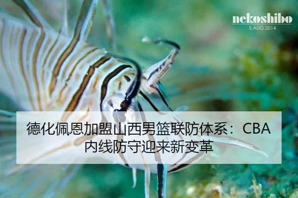 de-hua-pei-en-jia-meng-shan-xi-nan-lan-lian-fang-ti-xi-nei-xian-fang-shou-ying-lai-xin-bian-ge-3-569.jpg