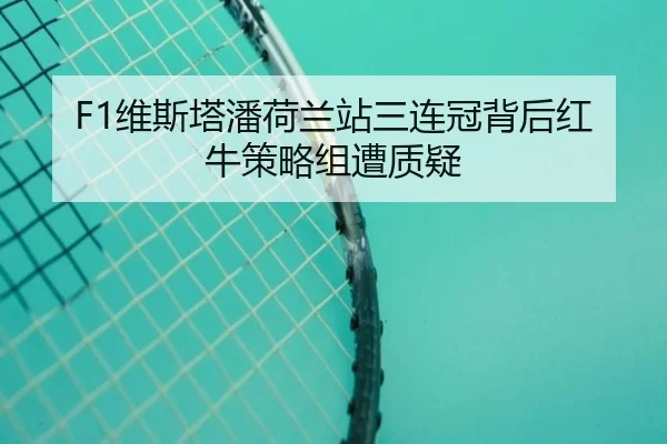 wei-si-ta-pan-he-lan-zhan-san-lian-guan-bei-hou-hong-niu-ce-lve-zu-zao-zhi-yi-3-639.jpg