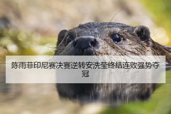 陈雨菲印尼赛决赛逆转安洗莹终结连败强势夺冠