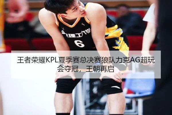 王者荣耀KPL夏季赛总决赛狼队力克AG超玩会夺冠，王朝再启