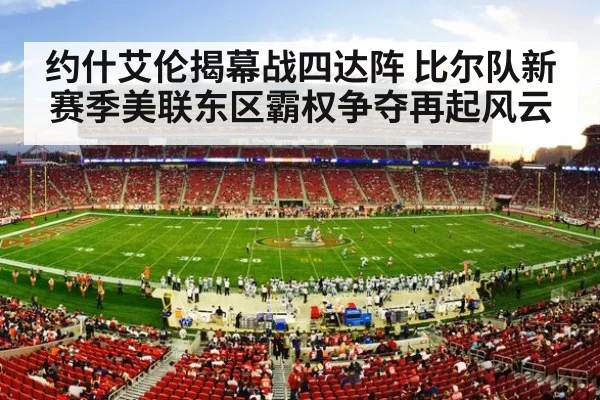 nfl stadium crowd